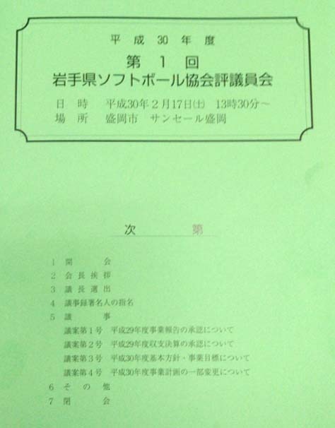 岩手県ソフトボール協会評議員会資料.JPG