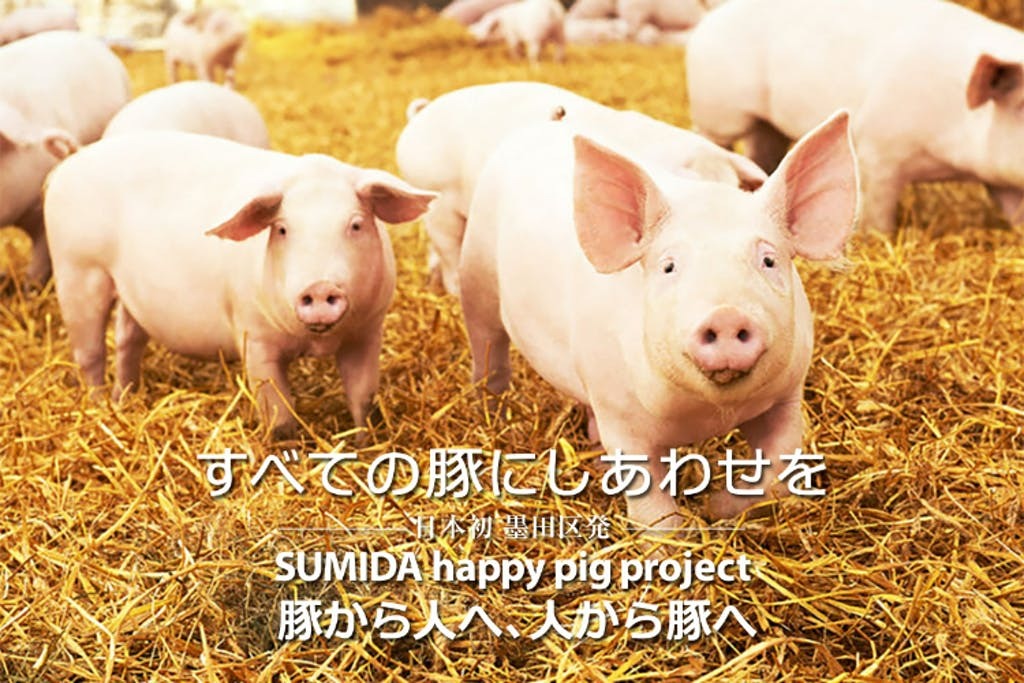 SUMIDA happy pig projectに参画