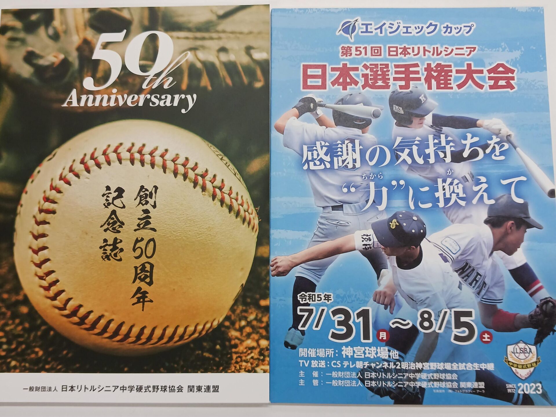 【硬式野球】エイジェックカップ第51回日本選手権大会